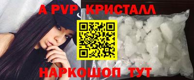 стаф Кинель