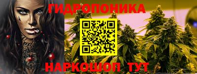 стаф Кинель
