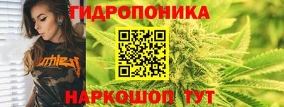 стаф Кинель