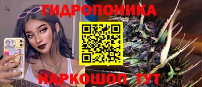 тгк Кимры
