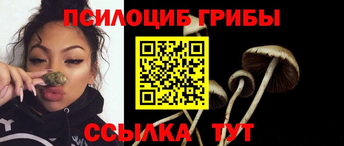 цена   Галлюциногенные грибы GOLDEN TEACHER  Вход с VPN  Чехов 